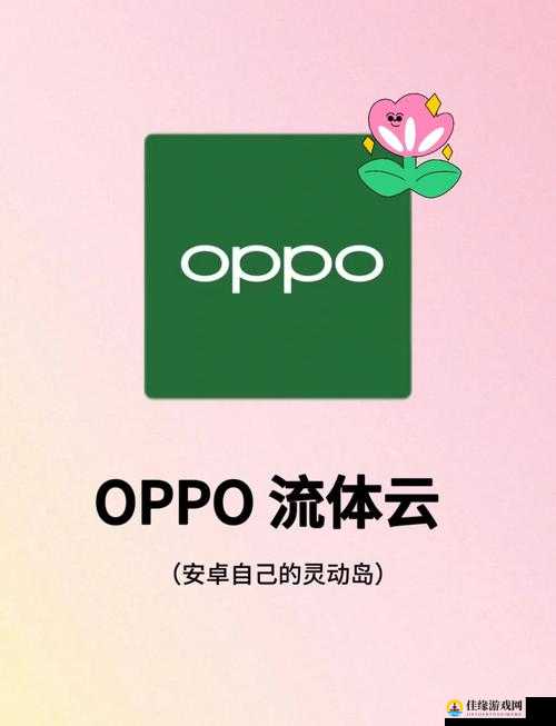 下载 3.0.3 每天无限免费大全 OPPO 畅享海量资源无限制