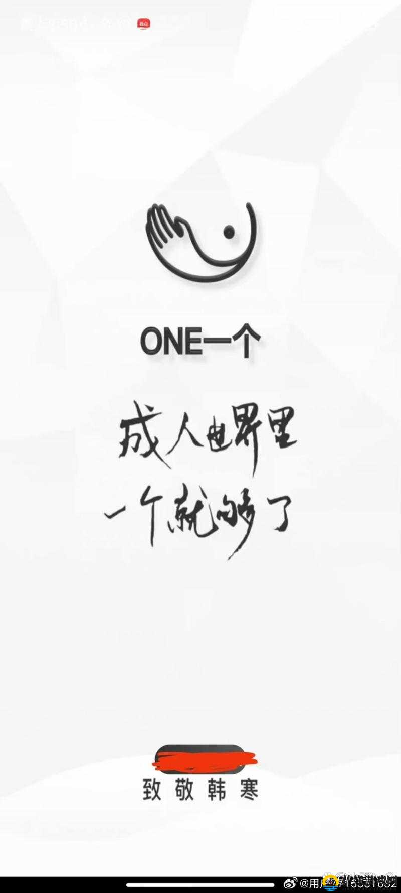 one.yg14.aqq 一个致敬韩寒：独特视角解读韩寒的人生与作品